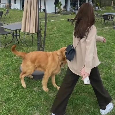 泪之女王